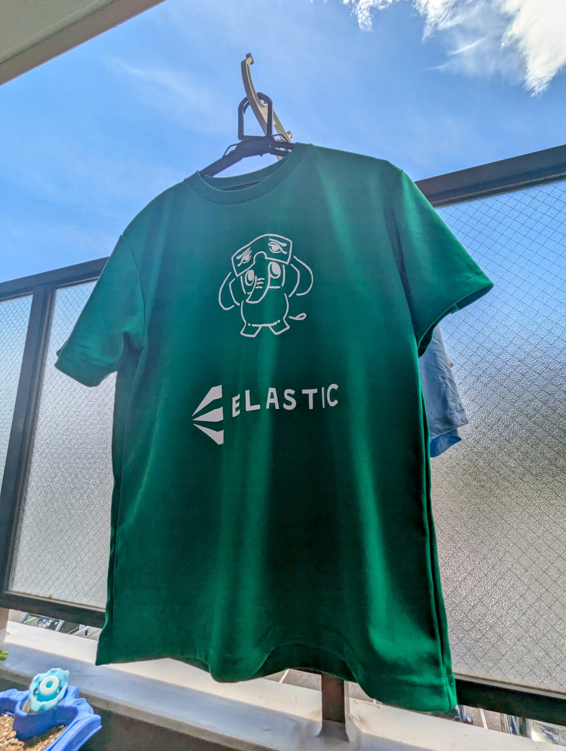 ペチコン福岡2024で登壇してきたのでふりかえる